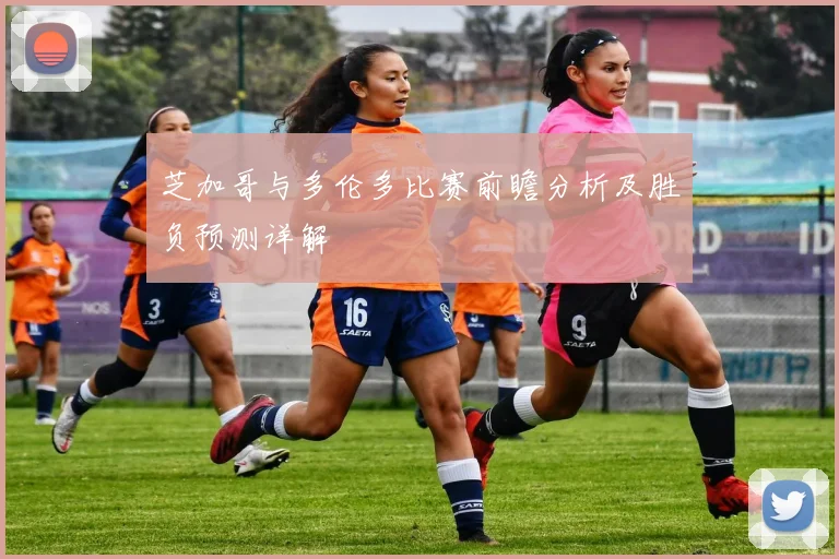 芝加哥与多伦多比赛前瞻分析及胜负预测详解