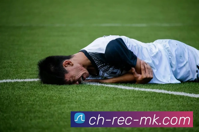 App Interface Preview