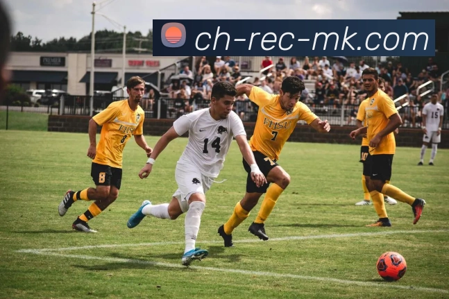 MK体育APP 封面图